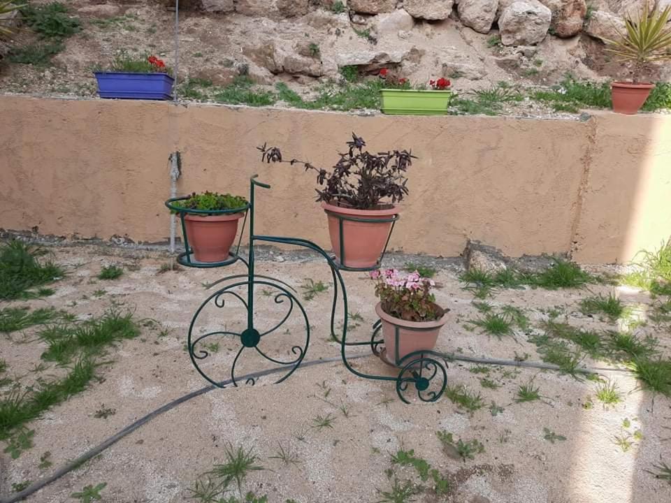 Emile Altwal Madaba Hotel Exterior foto
